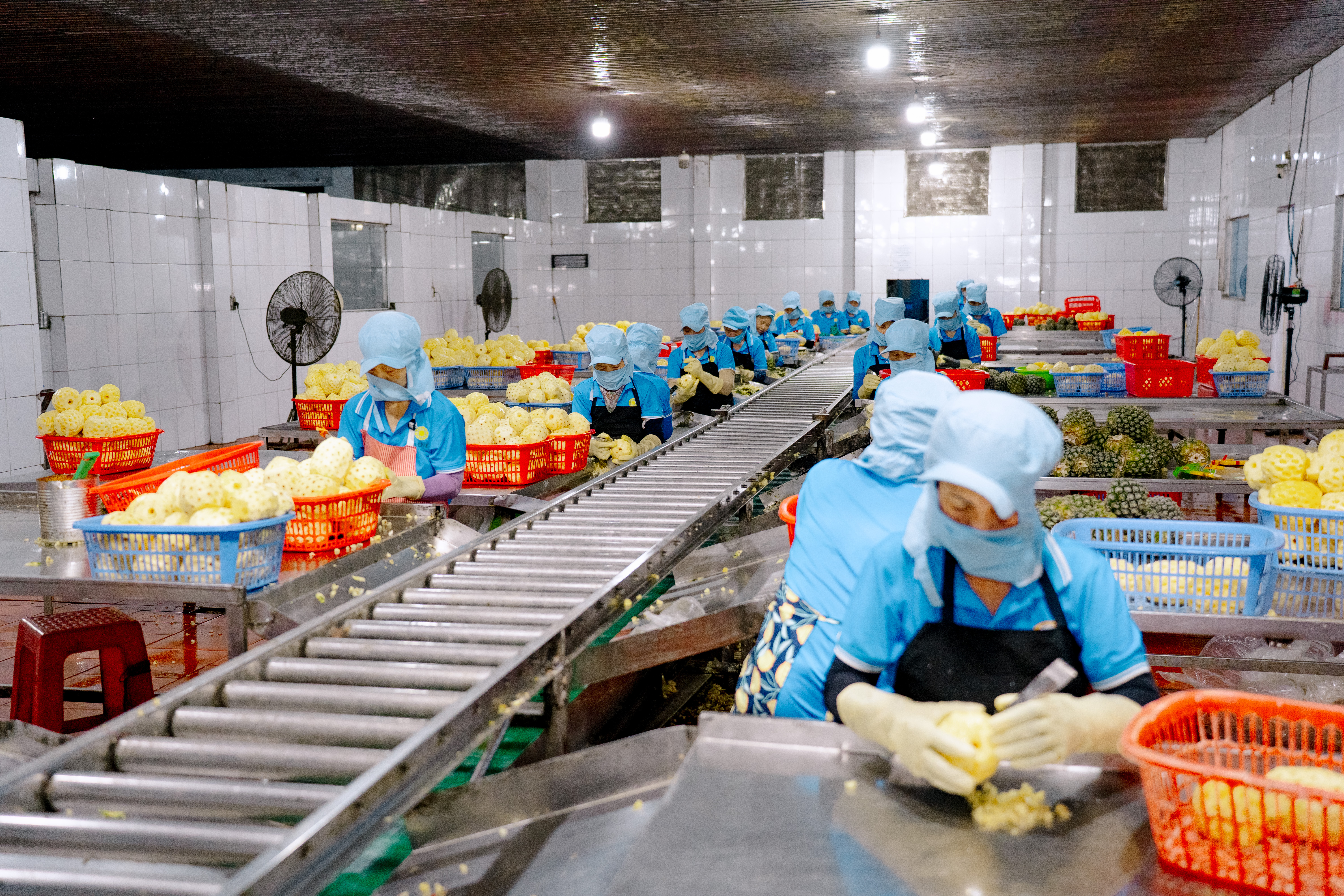 An Dien Factory