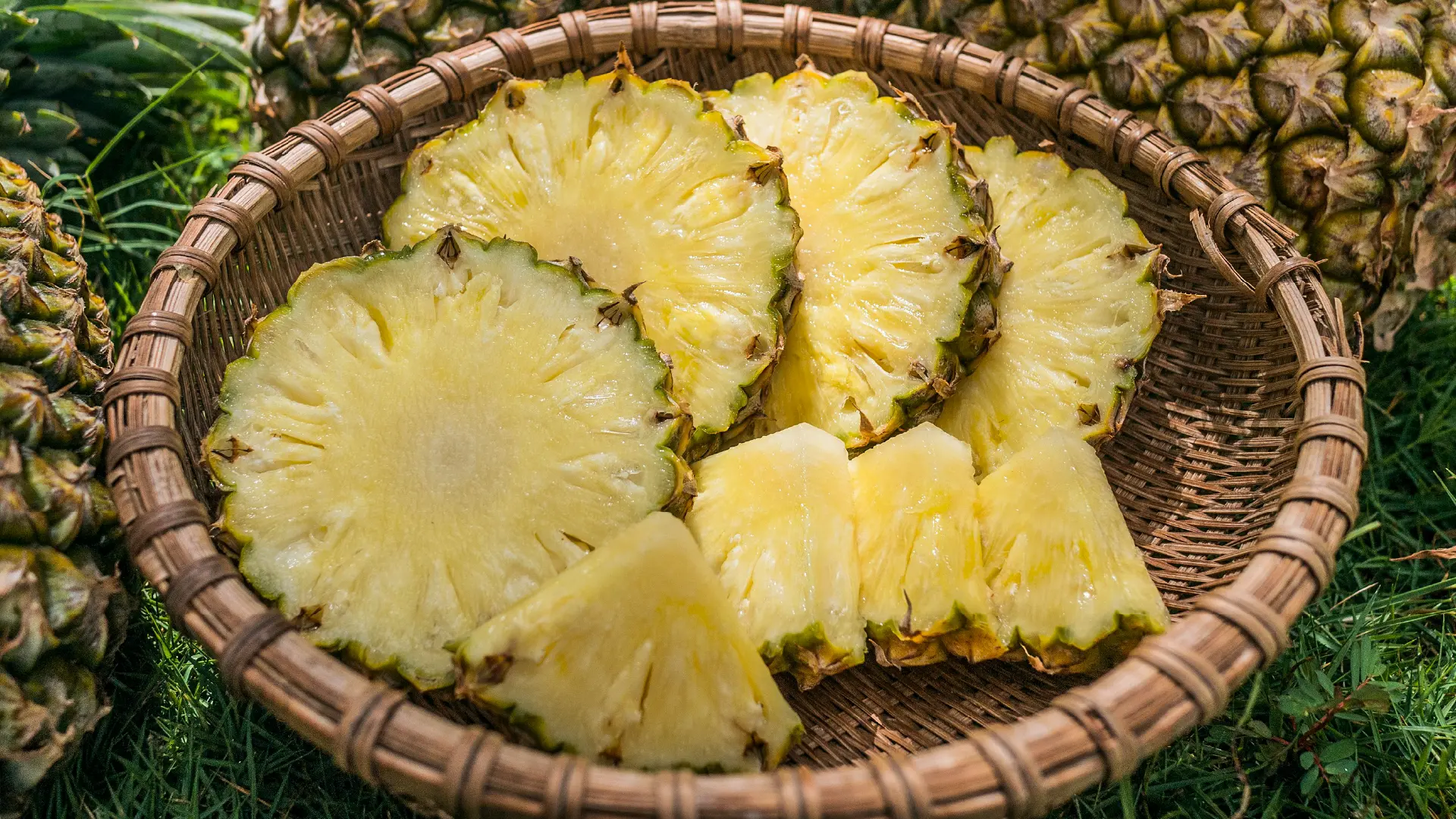 Vietnam Export